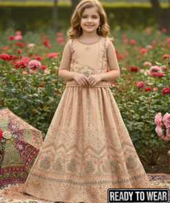 111124 More Design - Peach Lehenga