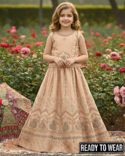 111124 More Design - Peach Lehenga