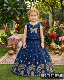 231025 Butterfly Blue Lehenga Junior