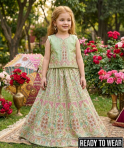 170226 Heavy Embroidery Pista Lehenga