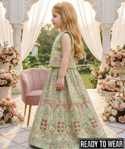 Alternative view of 170226 Heavy Embroidery Pista Lehenga