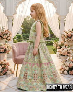 Alternative view of 170226 Heavy Embroidery Pista Lehenga