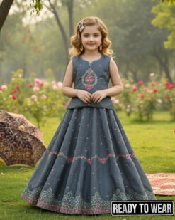 291225 Light - Grey Lehenga
