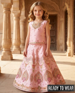 230626 Heart Design - Baby Pink Lehenga